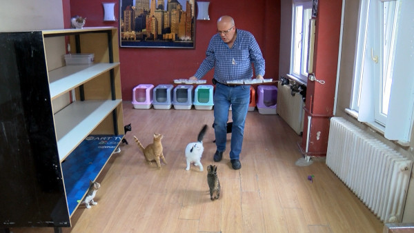 Üsküdar'da bir beyaz eşya mağazası 133 kediye ev sahipliği yapıyor - Resim : 2