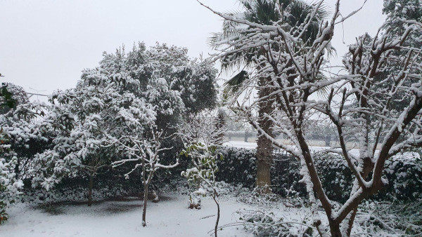 Antalya’ya 29 yıl sonra kar yağdı - Resim : 4