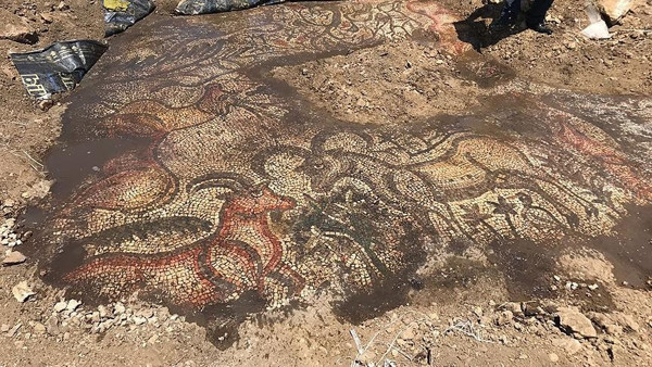 Adıyaman'da 1600 yıllık mozaik - Resim : 1