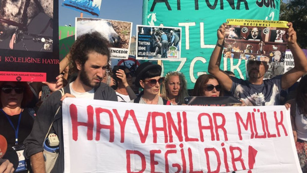 Aktivistlerden 'Atlı faytonlara son verin' çağrısı - Resim : 1