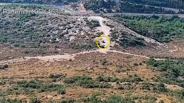 Orman kundakçıları mobil kameralara yakalandı - Resim : 1