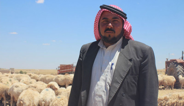 Kobani'nin güvenliği sürü sahiplerini cezbediyor - Resim : 3