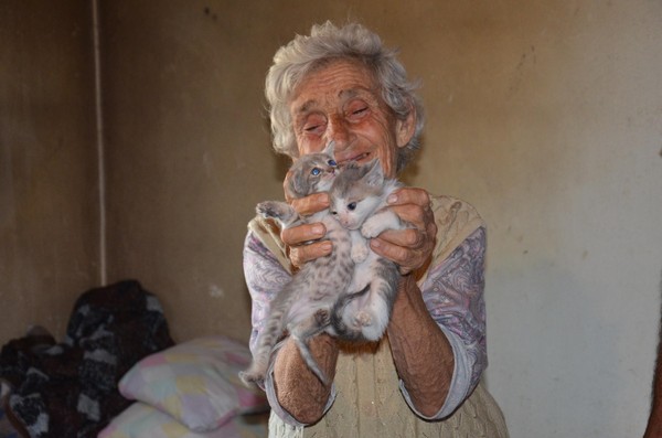 95 yaşındaki kadın 25 kediye bakıyor - Resim : 1