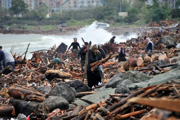 Sel sularının devirdiği ağaçlar kışlık yakacak için umut oldu - Resim : 2