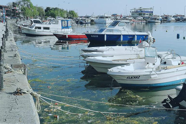 Silivri Sahili'nde deniz çöplüğe döndü - Resim : 2