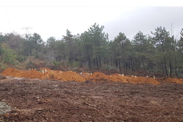 İstanbul'da koronavirüs mezarlığı - Resim : 2