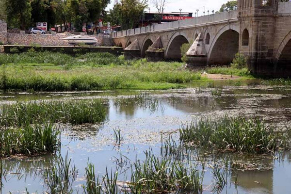 Tunca Nehri'nde debi düştü, yüzeyi çöp ve otlarla kaplandı - Resim : 2