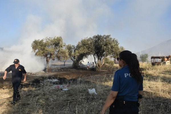 İzmir'de, palet atölyesinde çıkan yangın zeytinlik alana sıçradı - Resim : 2