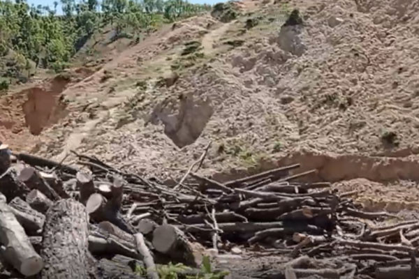 Şenyayla'da karakol inşası için ağaç kıyımı - Resim : 1