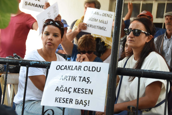 İzmir'de kalker ocağı için ağaç katliamı yapıldı - Resim : 1