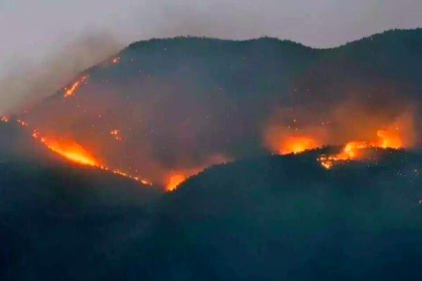 Dersim’de orman yakmak serbest söndürmek yasak - Resim : 2