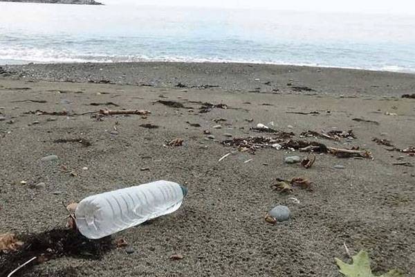 İki milimetreden küçük deniz canlısından da mikroplastik çıktı - Resim: 1