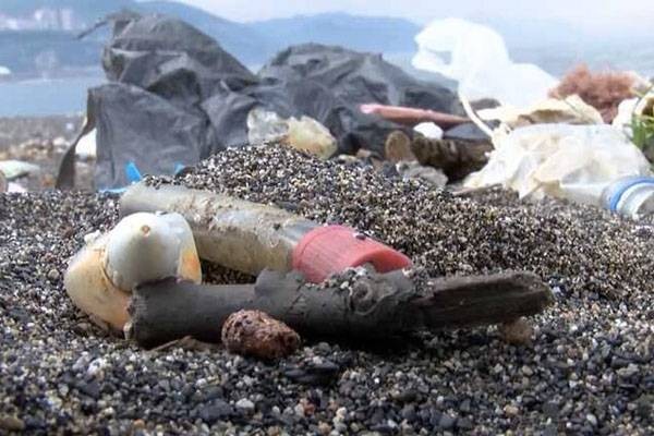 İki milimetreden küçük deniz canlısından da mikroplastik çıktı - Resim: 3