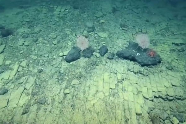 Okyanus tabanında şaşırtıcı keşif: Kayıp kıta Atlantis'e giden sarı tuğlalı bir yol bulduk - Resim : 2