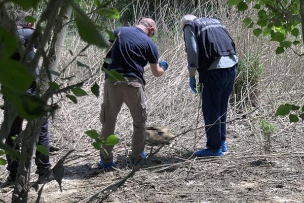 Seyhan Nehri kıyısında insan kemikleri ve kafatası bulundu: Bölgeye çok sayıda polis ekibi sevk edildi - Resim : 1