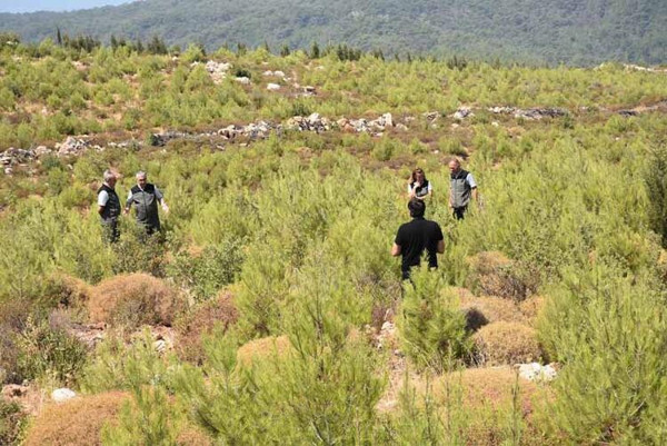 İzmir'de 5 yıl önce 12 bin hektar ormanın yandığı alan yeşillendi - Resim : 2