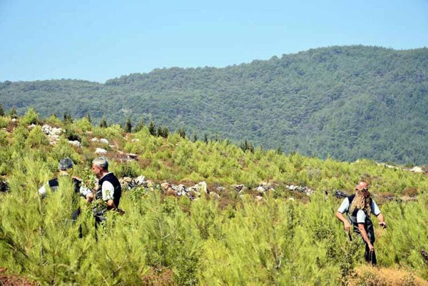 İzmir'de 5 yıl önce 12 bin hektar ormanın yandığı alan yeşillendi - Resim : 4
