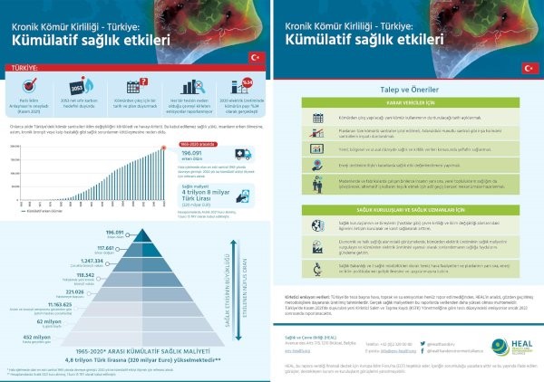 Kömür termik santrallerinin 55 yıllık karnesi: 195 bin erken ölüm - Resim : 1