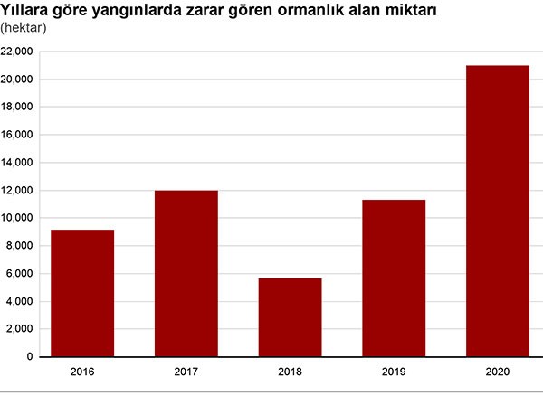 5 soruda Türkiye'de çıkan orman yangınlarıyla ilgili merak edilenler - Resim : 1