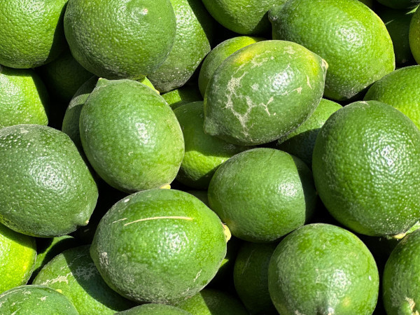 limonlar.jpg