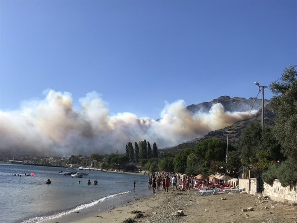 Marmara Adası'ndaki yangın kontrol altına alınamıyor - Resim : 1