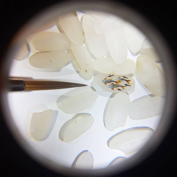 Micro-artist Hasan Kale'nin minik sanat eserleri - Resim: 3