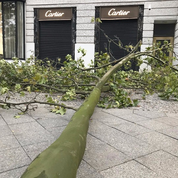 Almanya'da çıkan fırtınada 7 kişi hayatını kaybetti - Resim: 8