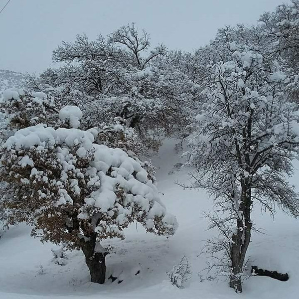 Dersim'de kış - Resim : 3