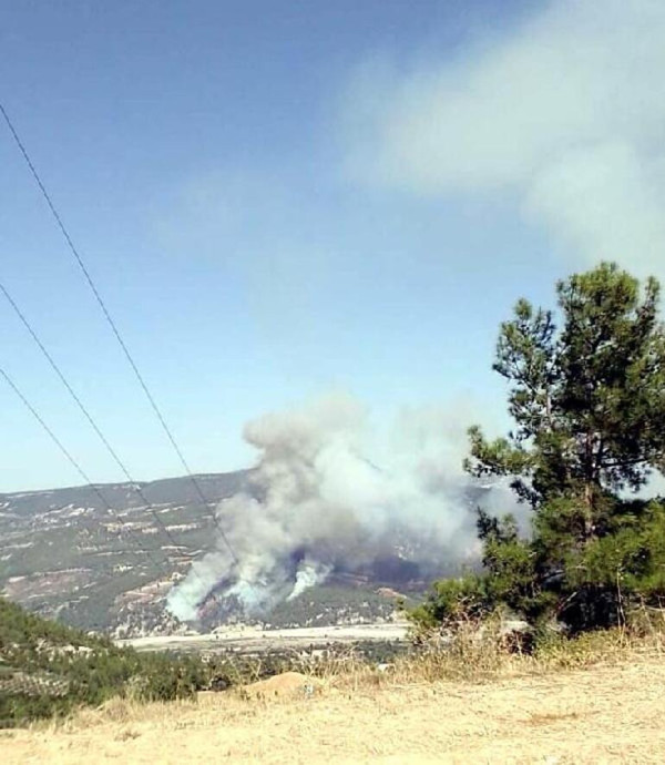 Denizli'de orman yangını - Resim : 1