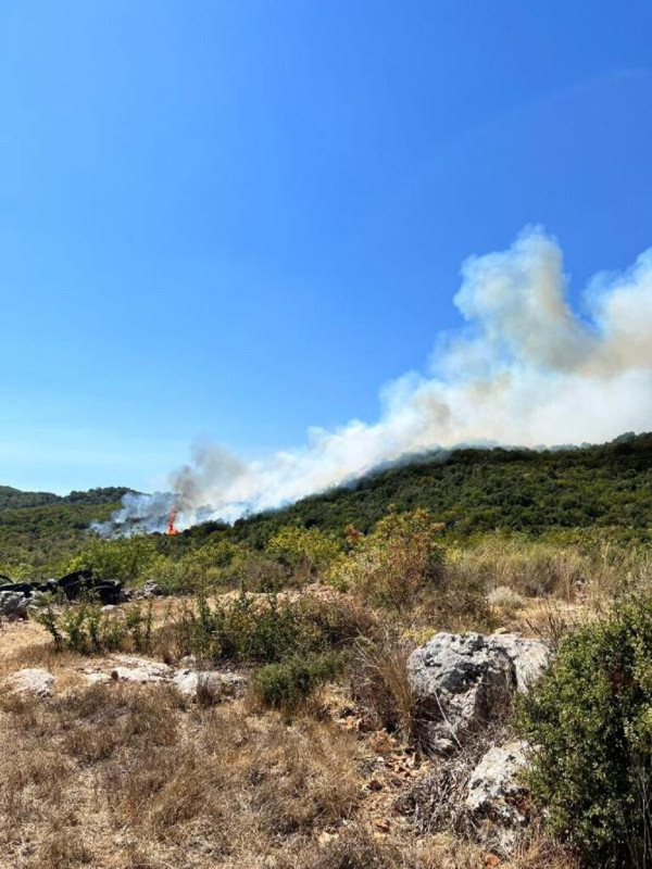 Antalya’da orman yangını - Resim : 1