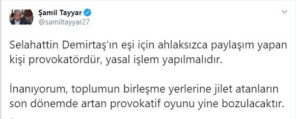 Tehdit edilen Başak Demirtaş'a sosyal medyada büyük destek - Resim : 13