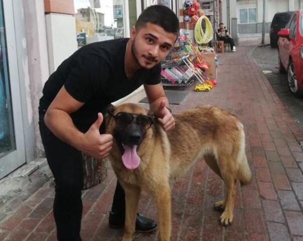 Gençlere biber gazı sıkan bekçiyi ısıran köpek 2 gün gözaltında tutuldu - Resim : 2