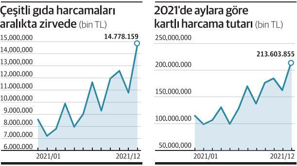 Enflasyon ve kur artışı kredi kartı harcamalarında rekor getirdi - Resim : 1