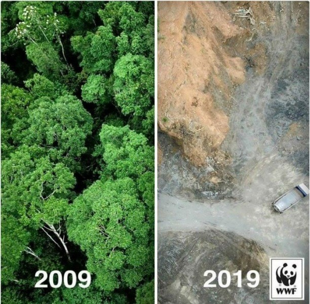 Çevrenin #10yearchallenge fotoğrafları - Resim: 14