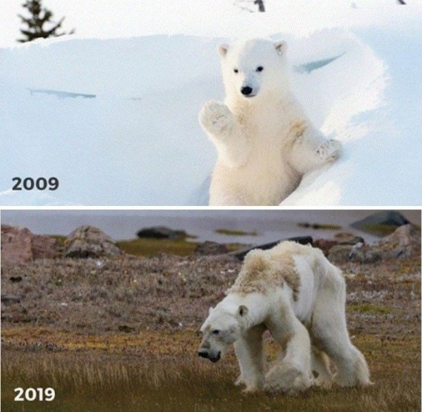 Çevrenin #10yearchallenge fotoğrafları - Resim: 13