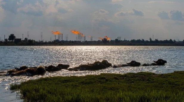 İran Savaşı'nda 24. g&uuml;n | ABD ve İran g&ouml;r&uuml;şmelerine T&uuml;rkiye, Mısır ve Pakistan aracılık etti - Resim : 4