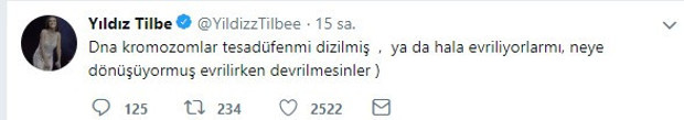 Yıldız Tilbe: Darwin ne bilsin zavallı - Resim : 2