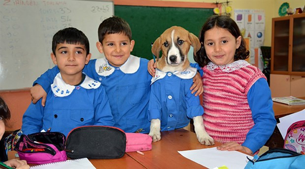 'Fındık' okula başladı - Resim : 1