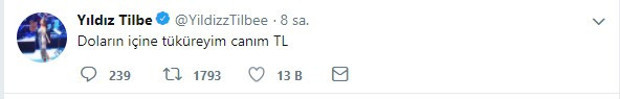 Yıldız Tilbe: TL basıyorsak Dolar da basarız, nedir yani? - Resim : 2