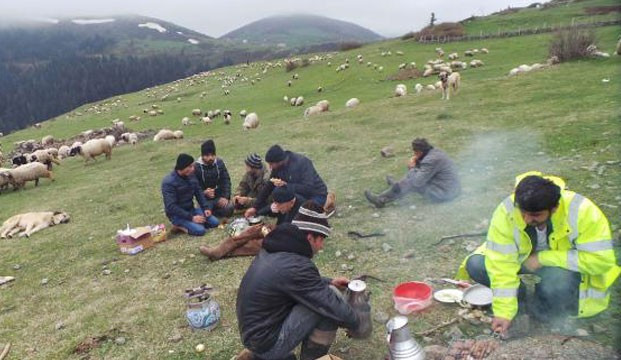 Yayla sezonu açıldı ama çoban yok - Resim : 1