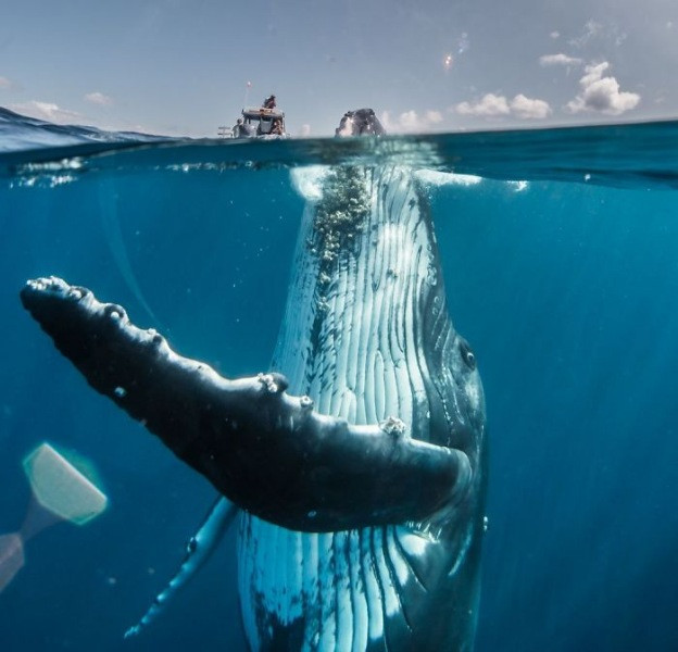 National Geographic Seyahat Fotoğrafları - Resim: 1