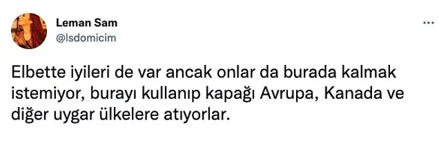 Leman Sam'ın ırkçı paylaşımı tepki çekti: Batıda olsa ceza alırdı - Resim : 2