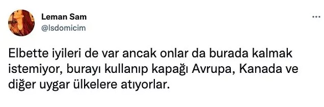 Leman Sam'ın ırkçı paylaşımı tepki çekti: Batıda olsa ceza alırdı - Resim : 2