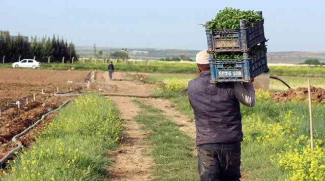 Bölge illerinde inceleme: 'Devlet tefeci olmuş' - Resim : 2