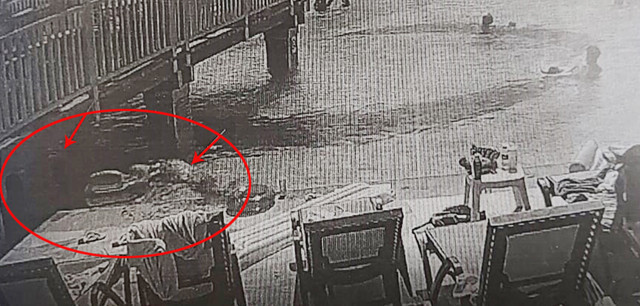 'Kız kardeşlere havuzda taciz' davasına Aile Bakanlığı müdahil oldu - Resim : 1