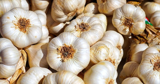 garlic-4461533-640.jpg