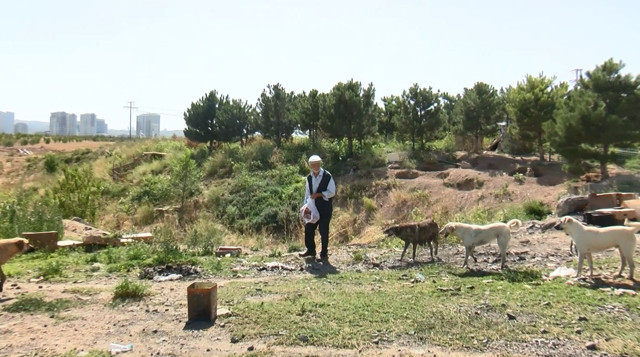 Sokak hayvanları için her gün 15 kilometre yol gidiyor - Resim : 2