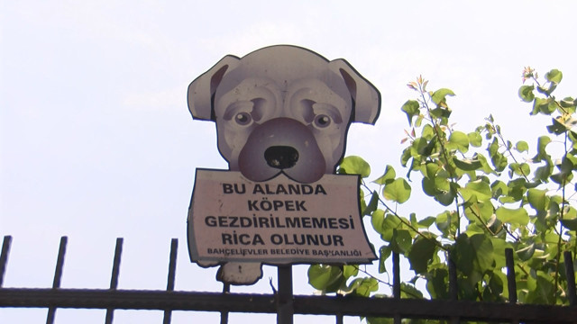 Bahçelievler'de parkta oynayan çocuğa pitbull saldırdı - Resim : 1