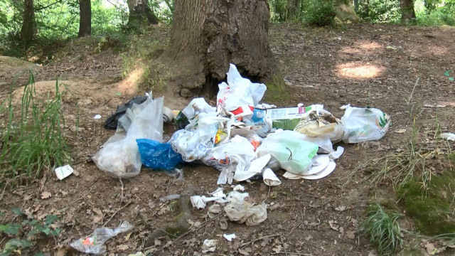 Belgrad Ormanı'nda piknikçiler gitti, çöpleri kaldı - Resim : 2