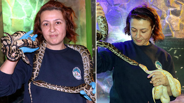 Güvenlik görevlisi olarak başlamıştı, şimdi yılan bakıcısı: Anne şefkati gösteriyorum - Resim : 1